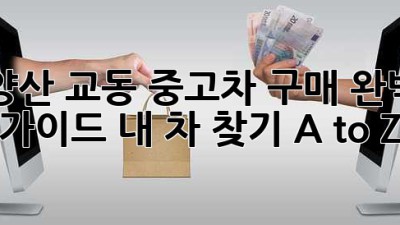 양산 교동 중고차 구매 완벽 가이드: 내 차 찾기 A to Z