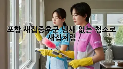 포항 새집증후군? 냄새 없는 청소로 새집처럼!